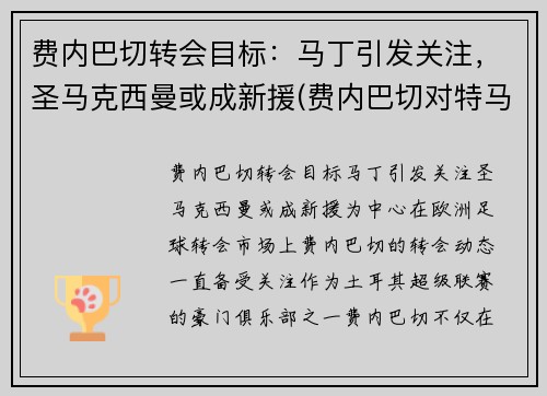 费内巴切转会目标：马丁引发关注，圣马克西曼或成新援(费内巴切对特马卡比)