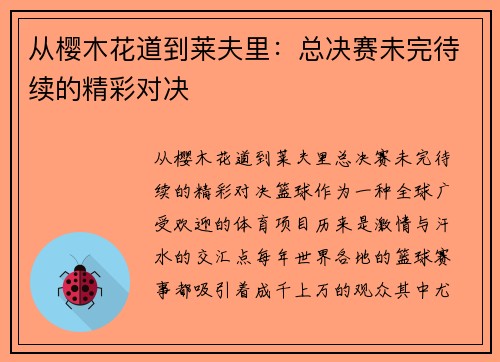 从樱木花道到莱夫里：总决赛未完待续的精彩对决