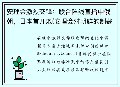 安理会激烈交锋：联合阵线直指中俄朝，日本首开炮(安理会对朝鲜的制裁结束了吗)